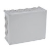 092196-CAJA PLEXO 310x240x124-LEGRAND (UD)