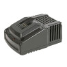 CARGADOR PARA GAMA PRO 2.0AH / 4.0 AH7993X367CARG (1)