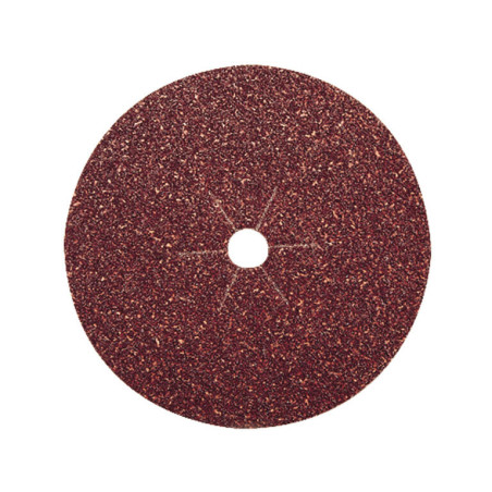 ehlis_100050231.jpg