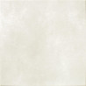 ZEUS BONE (PRC) 60X60 /ARG03_SBONE_300000000000004379 (M2)