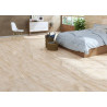 AZULEJO SAN VICENTE PORCELANICO 60X120 BRILLO (M2)