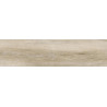 PECAN BEIGE MATE 23,3X120 (M2)