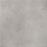 OLIMPO GRIS 60X60 (M2)